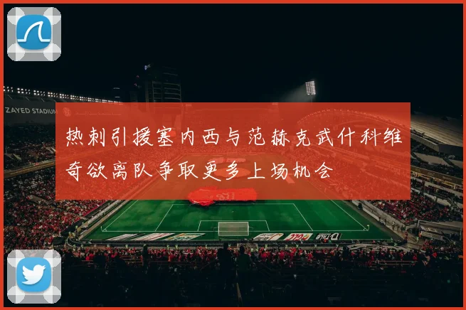 热刺引援塞内西与范赫克武什科维奇欲离队争取更多上场机会