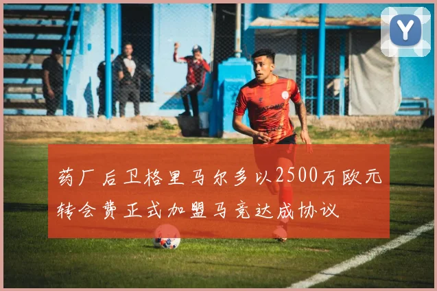 药厂后卫格里马尔多以2500万欧元转会费正式加盟马竞达成协议