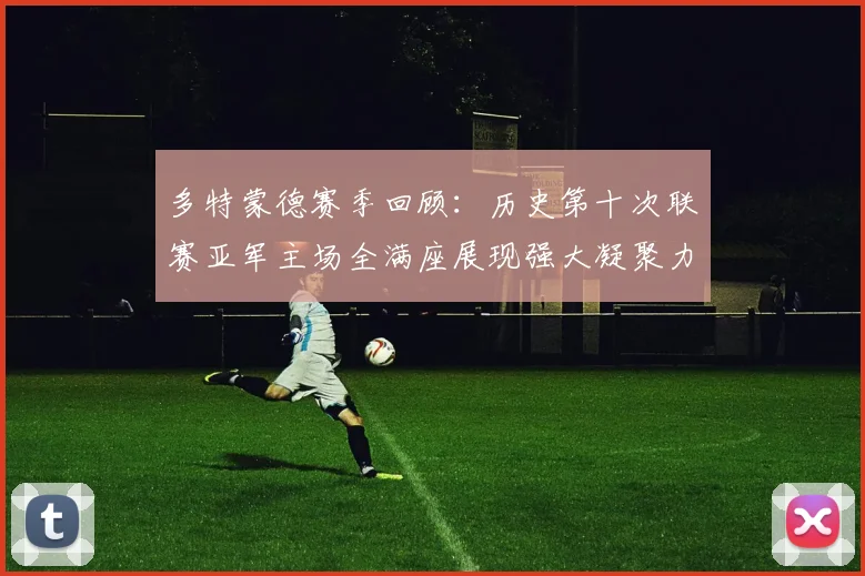 多特蒙德赛季回顾：历史第十次联赛亚军主场全满座展现强大凝聚力